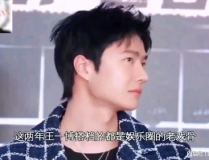 娱乐吃瓜酱打工,从“在逃公主”到“王牌打工人”，揭秘明星自嘲背后的故事