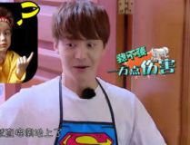 娱乐吃瓜酱集合,吃瓜酱集合带你领略明星幕后故事
