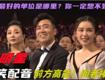 娱乐吃瓜视频用哪样配音,揭秘热门视频背后的配音秘密