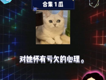 综艺娱乐八卦吃瓜,揭秘明星幕后故事，吃瓜群众狂欢时刻