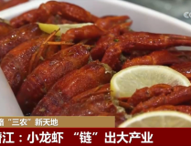 亲妈预备礼品感激继母背面故事藏洋葱）-三星正致力押注2nm造程Exynos芯片或将更名《我家那闺女》找寻卢昱晓、柳岩、于文文、朱旺旺的女性独居存在（《熊孩子》新成员有2位母亲