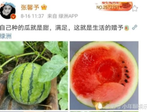 吃瓜娱乐圈吃瓜