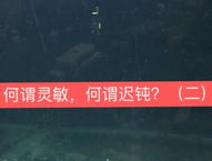 达奇钓鱼网,探索钓鱼乐趣，尽享自然之美