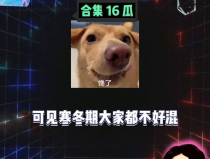 娱乐八卦吃瓜社,吃瓜社带你畅游八卦海洋