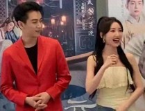 明星婚姻崩塌背后的舆论狂欢与人人困境明星舆论