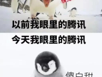 娱乐吃瓜酱自由男女平等,自由男女平等,共筑和谐娱乐生态