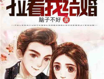 娱乐吃瓜老奶奶小说,揭秘娱乐圈背后的秘密人生