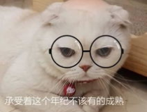 娱乐吃瓜君说刘二豆没了,娱乐吃瓜君揭秘背后真相