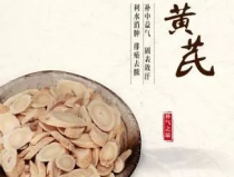 中药黄氏,中医宝库中的补气圣药，全面解析其功效与作用”
