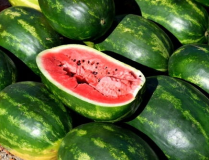 娱乐吃瓜酱背景图高清,高清背景图下的娱乐圈风云概览