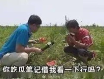 晋江娱乐圈吃瓜文,揭秘幕后真相，吃瓜群众狂欢时刻